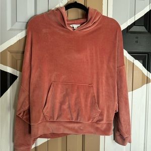 American Eagle Velvet Hoodie